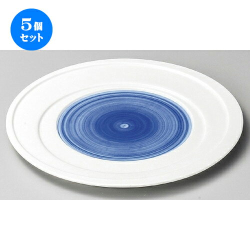 5個セット ☆ 大皿 ☆ 乱線 呉須9.0皿 [ 270 x 18mm ] | 大きい お皿 大皿 盛り皿 盛皿 人気 おすすめ パスタ皿 パーティー 食器 業務用 飲食店 カフェ うつわ 器 ギフト プレゼント誕生日 贈り物 贈答品 おしゃれ かわいい 食器セット
