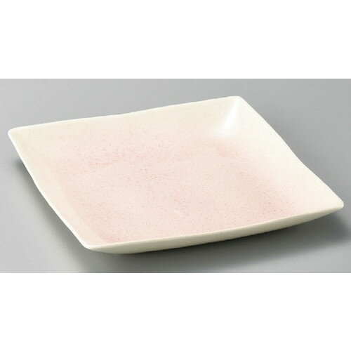 �� ���ѻ� �� �ܹ�9.0���ѻ� [ 265 x 265 x 30mm ] ������ ι�� �¿��� ����Ź ��̳�� ��