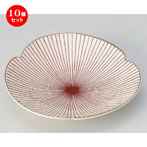 10ĥåȡ  󥰥ܽ𻰤ĳ [ 20 x 4cm 300g ] | ¿ ȭ ȭ ܥ ȭ  ۥƥ  ̳ Ź...
