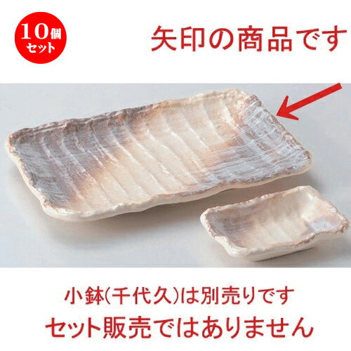 10ĥå ʪ /߻5.0Ĺѻ [ 16.5 x 13 x 2.2cm 290g ] | Ƥʪ ơ  Ƥ  ̳ Ź ե Ĥ   襤 ޯ ե ץ쥼 ʪ ˤ 뺧ˤ  £ʪ £  ͵ 糧å