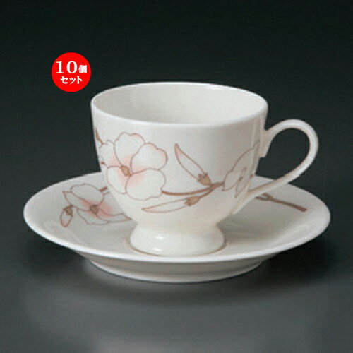 10ĥåȡ ҡå NBҡC/S [ 11 x 8.3 x 7cm 14.8 x 2.2cm 275g ] | ҡ å ...