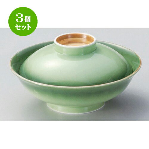 3Zbg W ΍ʕW [ 16.5 x 8.7cm 525g ] | ϕ   B q lC  H Ɩp HX JtF    킢 Mtg v[g o a 蕨 i