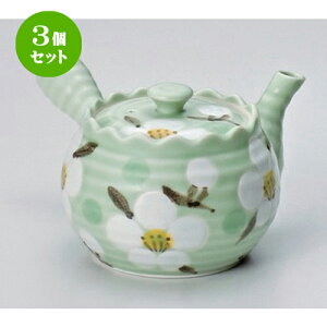 3個セット 有田焼急須 緑釉梅2 5号急須 M 4cc 食器 285g 一服 ポット 急須 きゅうす 土瓶 お茶 一服 まったり 人気 おすすめ 食器 業務用 飲食店 カフェ うつわ 器 おしゃれ かわいい ギフト プレゼント 引き出物 誕生日 贈り物 贈答品 せともの本舗 ポット