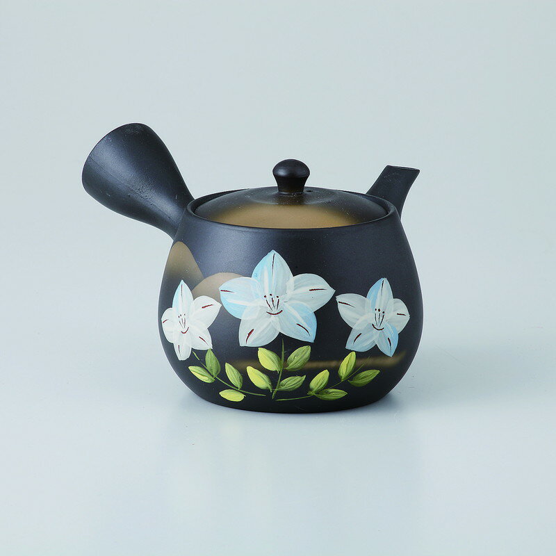 急須 黒泥鉄仙急須 [品：急須x1/380cc 箱：15.5x15.5x9.5cm] 500g 貼箱 常滑焼 【食器 引出物 内祝い ..