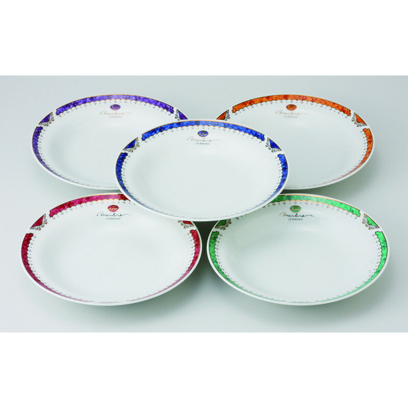 スープ皿 マーブルカレー＆スープ5P [品：皿x5/R22x3.8cm 箱：25x23.8x9cm] 2040g 貼箱 美濃焼 【食器 引出物 内祝い おしゃれ】