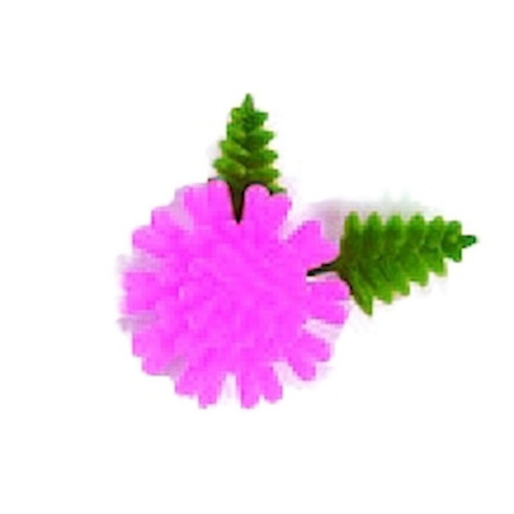 ¤֡Ʀơԥ󥯡1000 [2.33.8cm ] |    ¤  ɿȥѥå