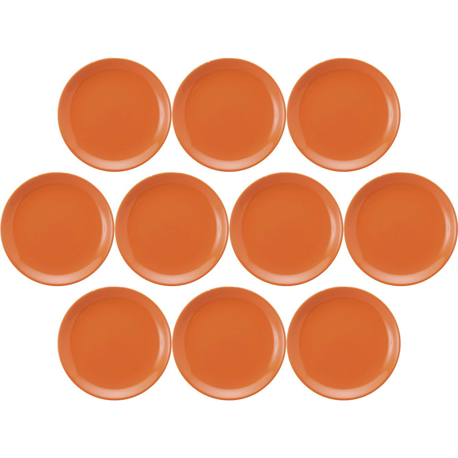 10ĥå ץ ᥿19cm ѡ [192cm] | ο λ ץ 껮 ̳