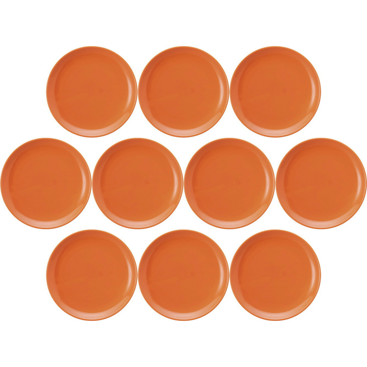 10ĥå ץ ᥿21cm ѡ [212cm] | ο λ ץ б 