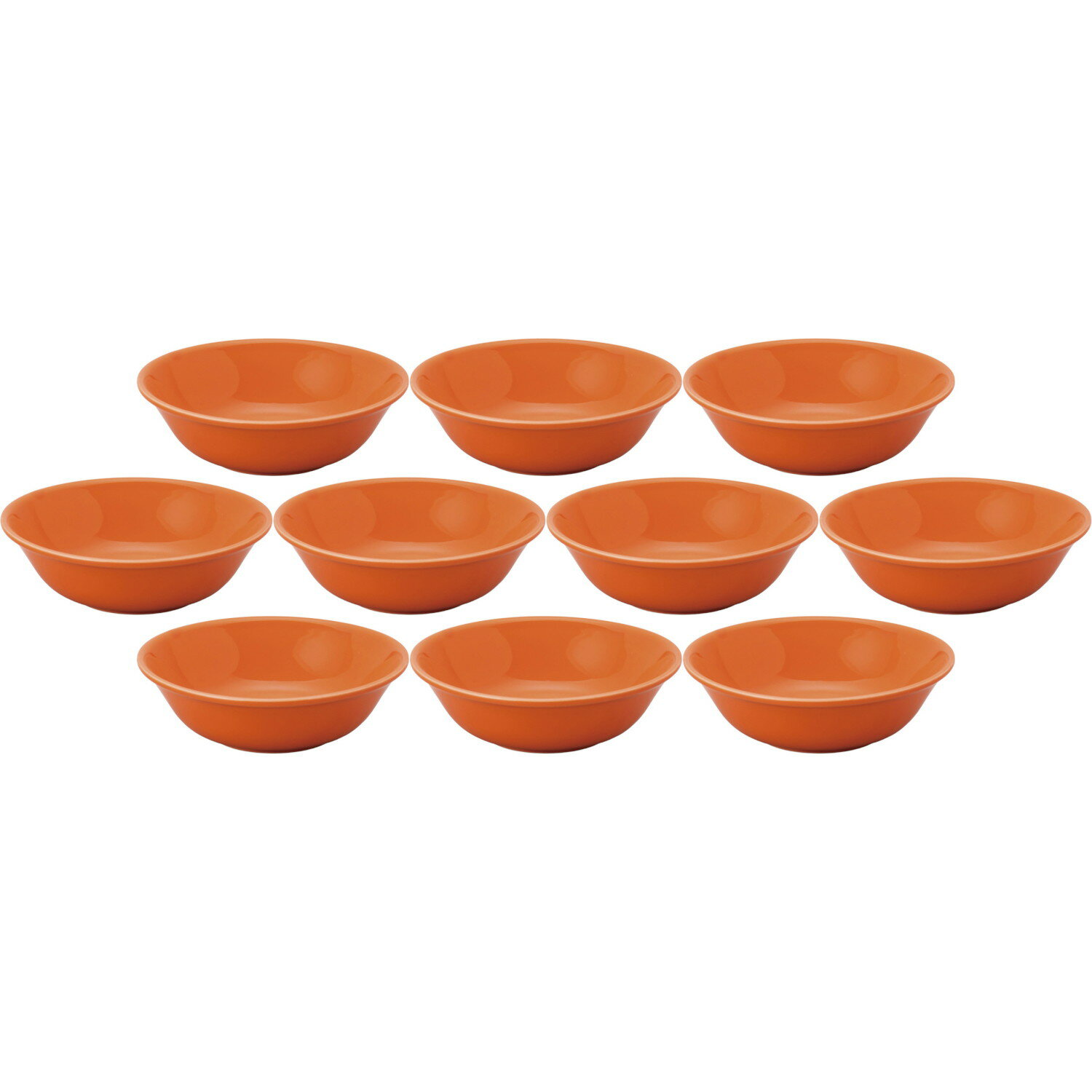 10ĥå ץ ᥿̥ȥߥ ѡ [16.14.9cm] | ο ץ  ꥢܥ 