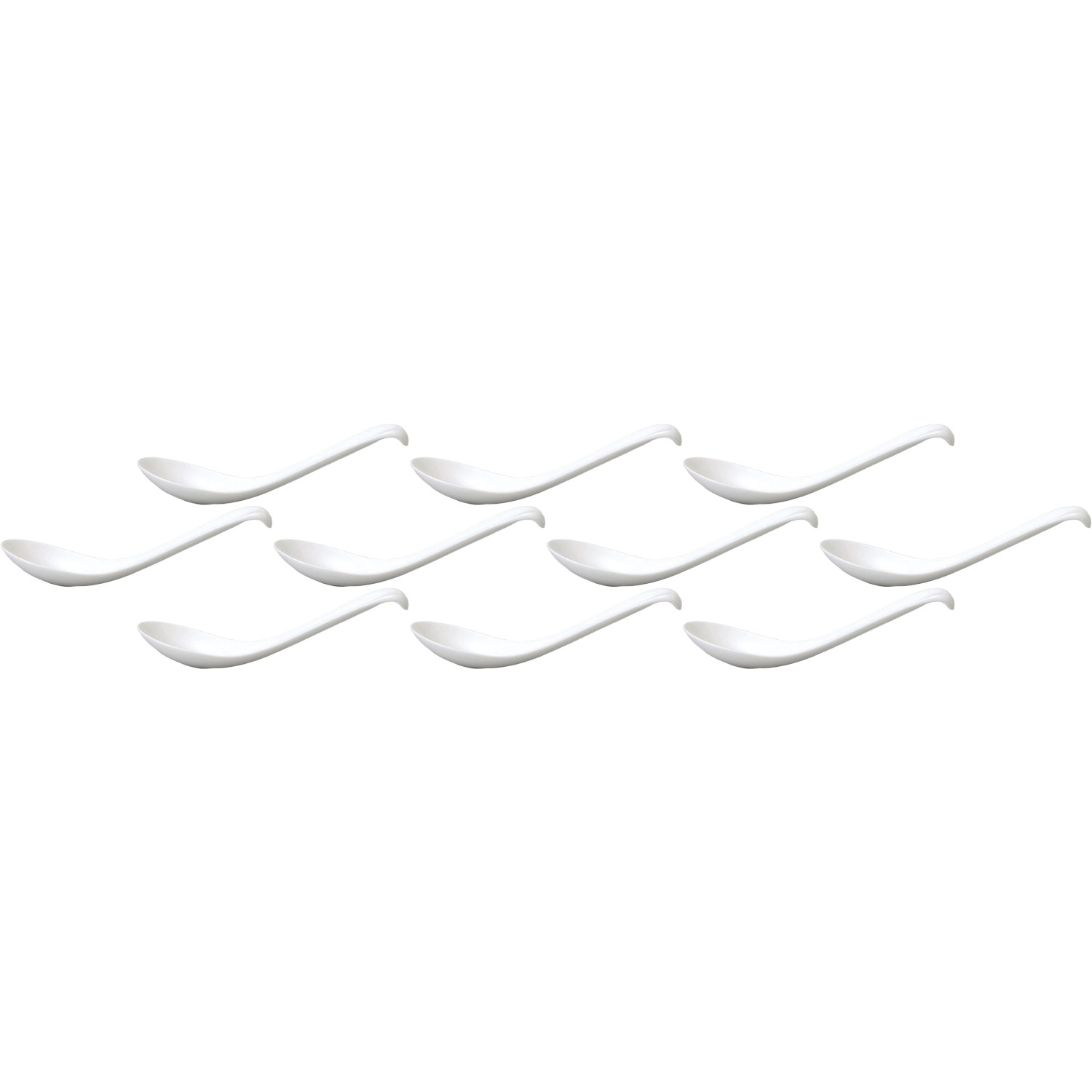 10ĥå  ץ [14.54.3cm13cc] | ڿ ѥ  ڥס 