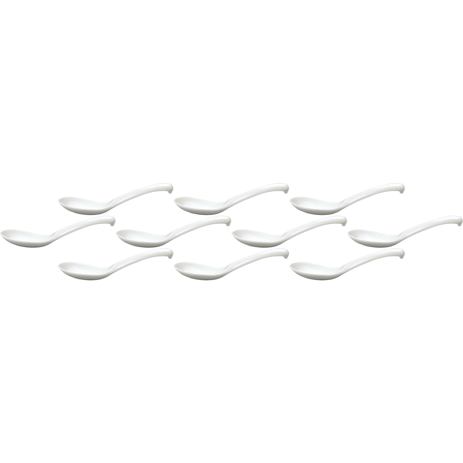 10ĥå   [154.4cm15cc] | ڿ ڥס ۥ磻 ץ ̳