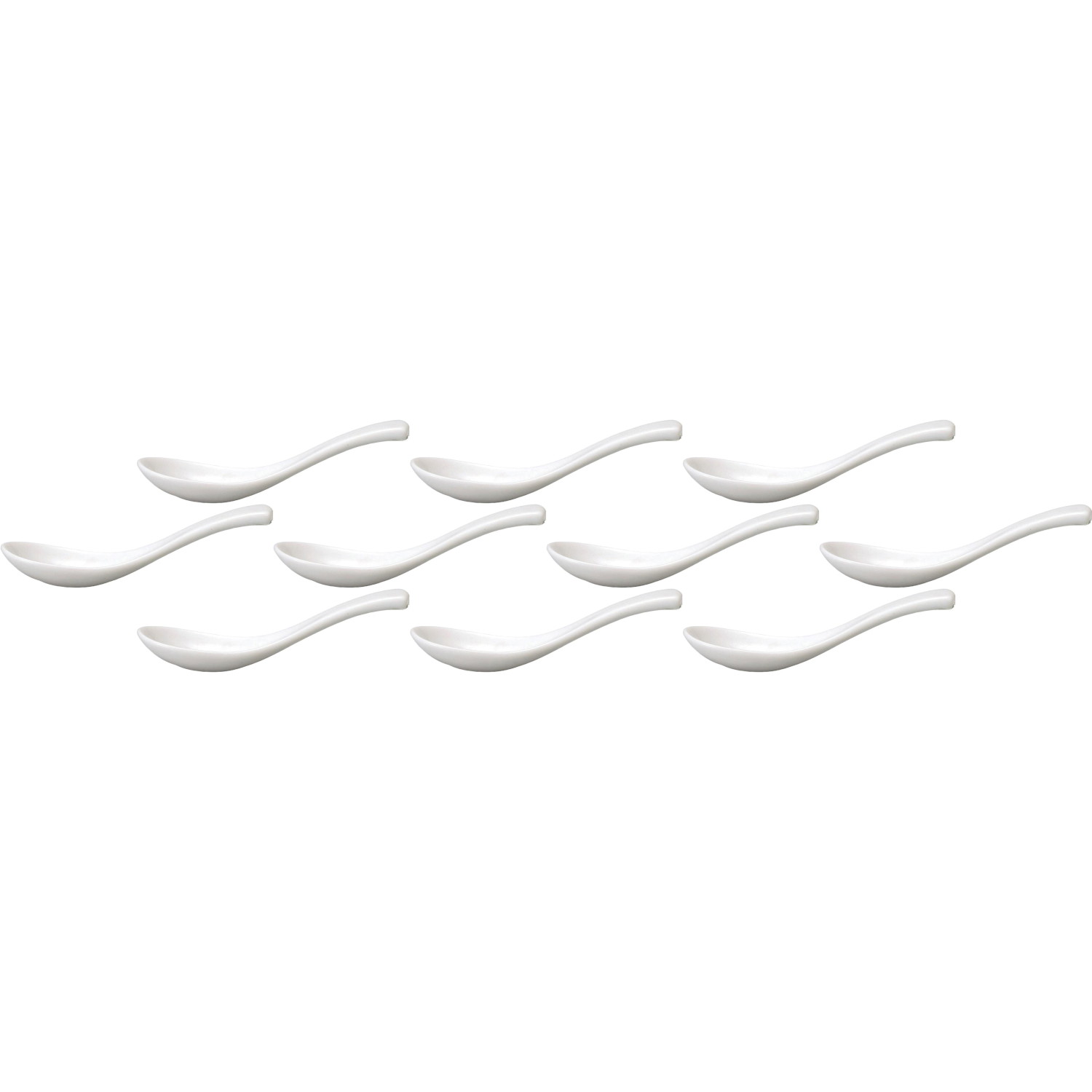 10ĥå  ݥ [13.64cm12cc] | ڿ ϡ ڥס  ۥ磻