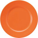 10個セット プロヴァンス リム玉23cm皿 パーシモン [23×2.4cm] | 洋食器 中皿 プロヴァンス 盛り皿 業務用 2