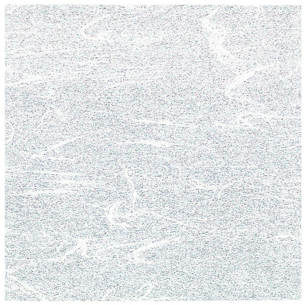 PE両面ラミ敷紙 100枚入 白色 10cm角 [ 約10 x 10cm ] 【 懐紙 】 | 旅館 料亭 ホテル 宴会 懐石 和食 イベント 業務用