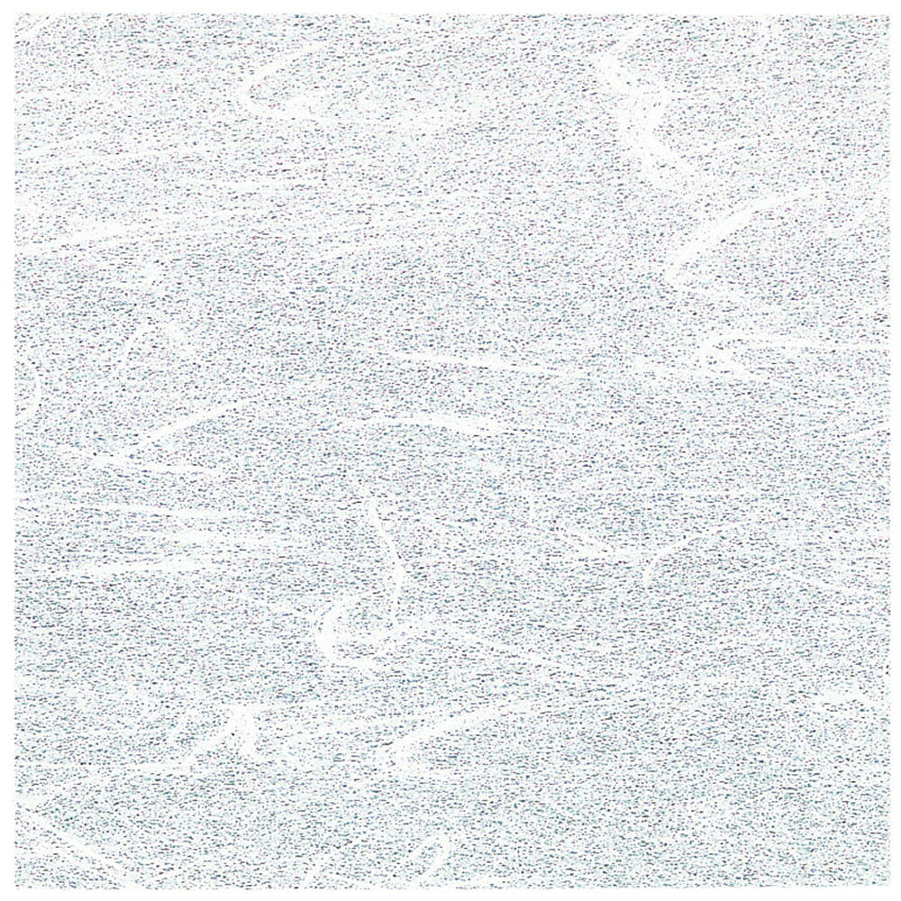 PE両面ラミ敷紙 100枚入 白色 20cm角 [ 約20 x 20cm ] 【 懐紙 】 | 旅館 料亭 ホテル 宴会 懐石 和食 イベント 業務用