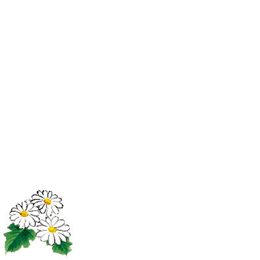 ߥŷ 100 (911) [ 9.8 x 9.8cm ] | ŷ ŷפ ƥץ  ͵  ̳ Ź ե ...