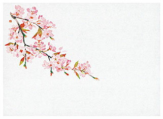 遠赤保鮮紙（小）桜 (100枚入) [約13×18cm] | 和食 料理 懐石料理 松花堂 弁当 保鮮紙 その他