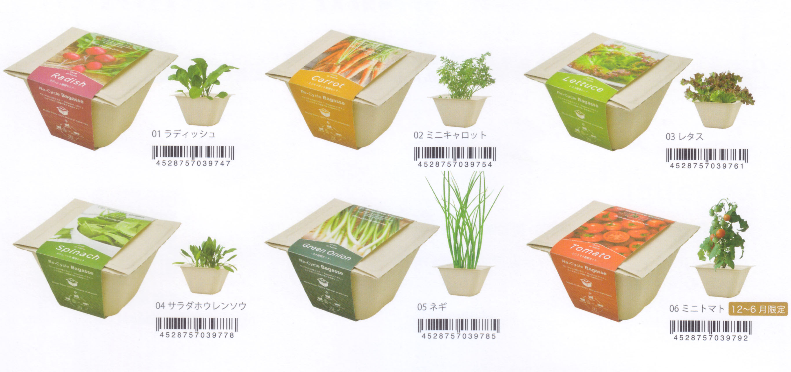 さとうきびの搾りカス「バガス」からできたエコ容器で野菜を育てる栽培セット。 紙の原料を木材からバカにすることで森林保護にもつながります。 栽培後は土に還ることができる自然と調和した栽培セット 器サイズ/幅12.3cm 奥行12.3cm 高さ7.4cm セット内容/植木鉢・種・土