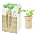 植木鉢と種がセットになったおうちで根菜栽培セット