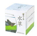 3〜9月限定販売 植木鉢と種がセットになった育てる水草 アクアリウム(S)