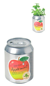 空き缶の中で育てるハーブ栽培セットグリーンカン・アップルミント