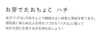 お芽でたおちょこ　ハチ　グレー/黒松