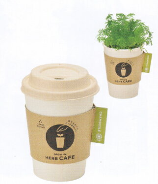 テイクアウトのコーヒーカップをモチーフにした栽培セット育てるカフェ・カモミール