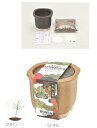 植木鉢と種がセットになったTHE BONSAI栽培セット赤松