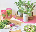 【9月〜3月限定販売】植木鉢と種がセットになったカラフルミニ大根 京紫