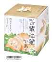 植木鉢と種がセットになった西洋マタタビ栽培キット