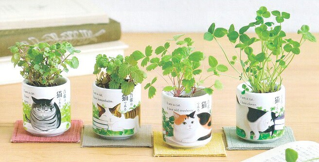 植木鉢と種がセットになったお芽でたおちょこ吾輩猫　クローバー
