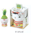 植木鉢と種がセットになった芝って栽培セット コケシ