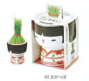 植木鉢と種がセットになった芝って栽培セット コケシ
