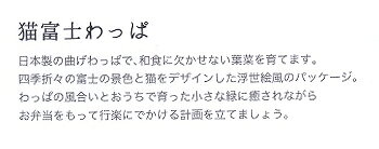 猫富士わっぱ　ミツバ