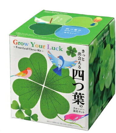 きっと出会える四つ葉栽培キット