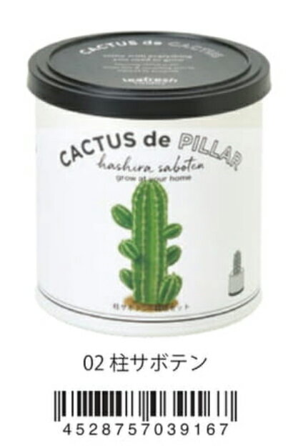 鉢と土がセットになったカクタスdeカクタス　柱サボテン