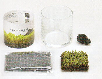 器と苔がセットになったグラストモス（S）