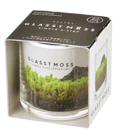 种子（成套栽培用品） - 器と苔がセットになったグラストモス（S）