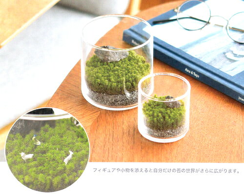 器と苔がセットになったグラストモス（L）