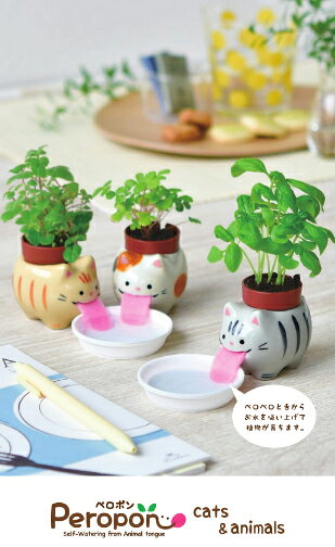 植木鉢と種がセットになったペロポン キャッツ　茶トラ/ミント