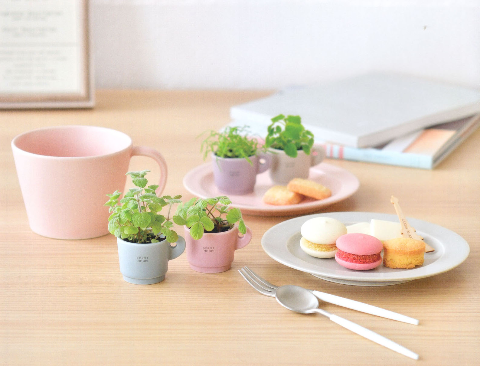 植木鉢と種がセットになったミニマグ