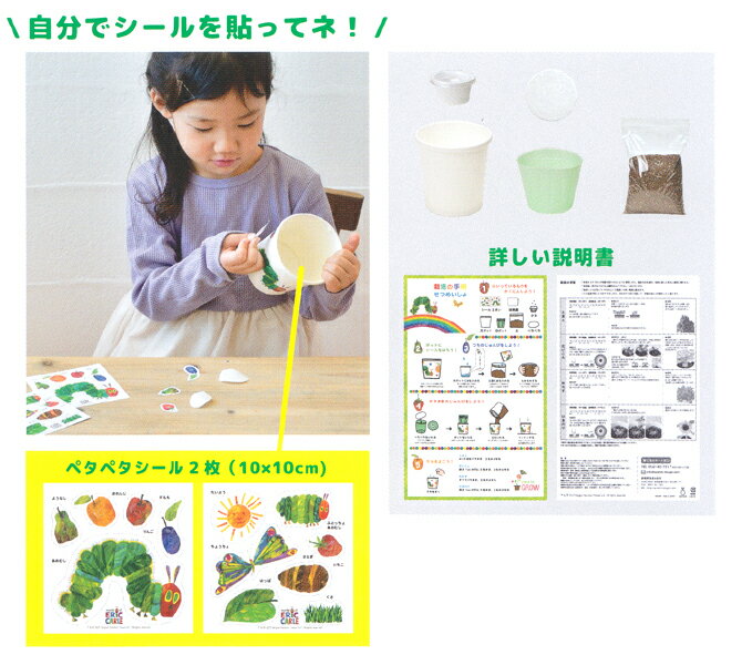 はらぺこあおむしペタペタ＆すくすく栽培セット・ミニひまわり