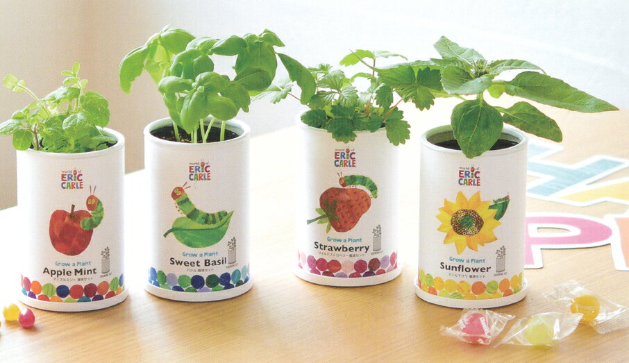 �Ϥ�ڤ������ष�ʤ��褷���ݥ��åȡ��ߥˤҤޤ��