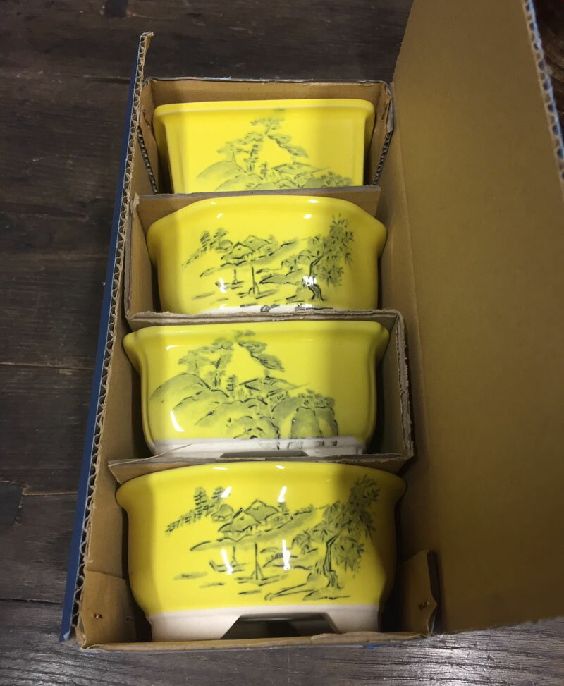 文山 3.5号 色釉 さつき鉢 箱入 和風 植木鉢 ミニ 盆栽鉢