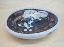【送料無料】【プレゼント/贈答品】【中垣連次】 鼠志野葡萄たわみ盛鉢