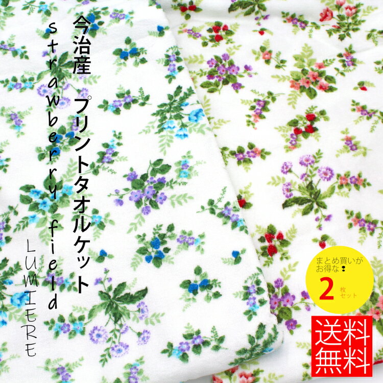 今治産タオルケット 2枚セット 日本製 糊抜きなし 【ルミエール】 吸水 速乾 涼しい 保温性 内祝い ギフト 快気祝い 出産祝い 引っ越し祝い かわいい さわやか お買い得 贈答 結婚 収納 シャリ感 さらっと まとめ買い 今治タオルのサムネイル