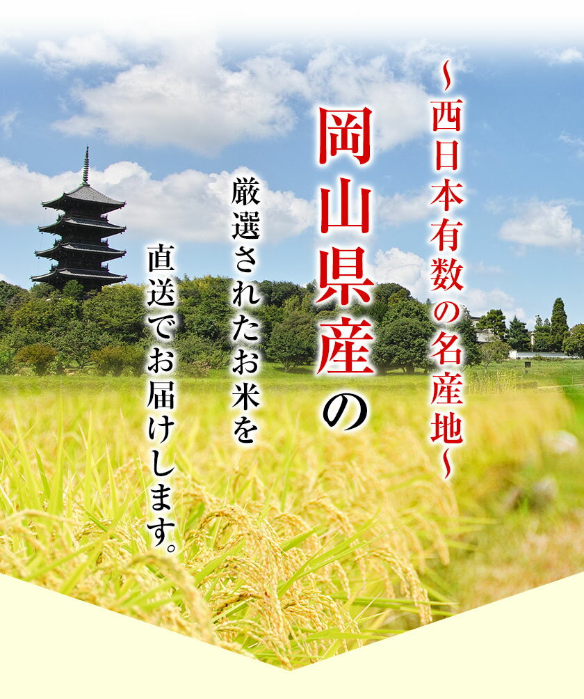 きぬむすめ 10kg 岡山県産 令和3年産 送料無料 米 白米 こめ お取り寄せ お取り寄せグルメ ポイント ポイント消化 引っ越し お祝い 挨拶 米寿 3-7営業日以内に出荷 土日祝除く