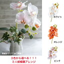 ミニ胡蝶蘭アレンジ アーティフィシャルフラワー 造花 フラワーアレンジメント 胡蝶蘭 お祝い ギフト プレゼント ブーケ おしゃれ インテリア 母の日 誕生日 ...