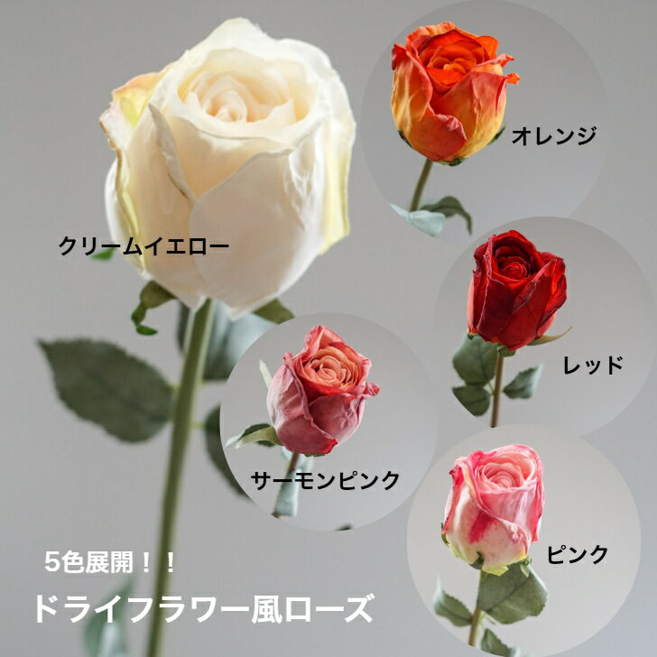 ローズ バラ ドライフラワー アーティフィシャルフラワー 造花 フラワーアレンジメント 胡蝶蘭 お祝い ギフト プレゼント ブーケ おしゃれ インテリア 母の日 誕生日 ミニサイズ 開店祝い 花材販売 一本売り