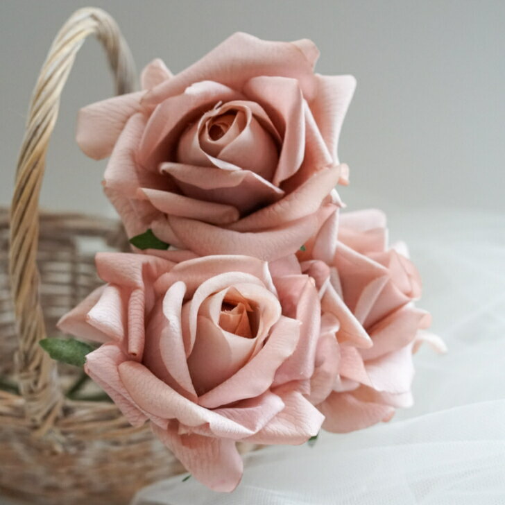 �Х� �������ԥå� �����ƥ��ե������ե� ¤�� �ե�����󥸥��� ��ĳ�� ���ˤ� ���ե� �ץ쥼��� �֡��� ������� ����ƥꥢ ����� ������ �ߥ˥����� ��Ź�ˤ� �ֺ����� �������